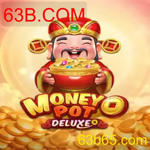 MoneyPotDELUXE